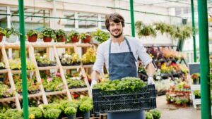 Exporting Green: Strategies For Taking Your Horticulture Business To International Markets Successfully