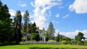 Keeping Your Garden and Yard Pest-Free: Smart Pest Control for Every Homeowner
